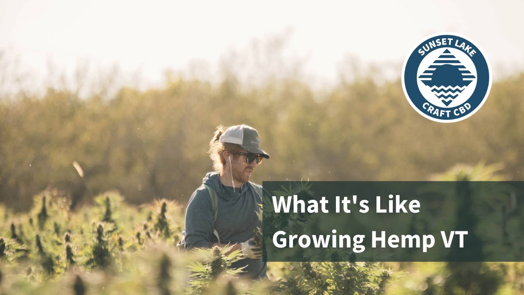 What It's Like Growing Hemp In Vermont | Sunset Lake CBD