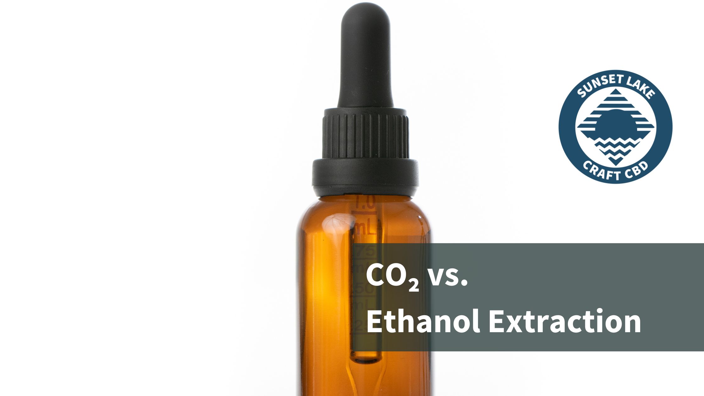 CO₂ Vs. Ethanol Extraction: Comprehensive Comparison For Hemp Extracts ...