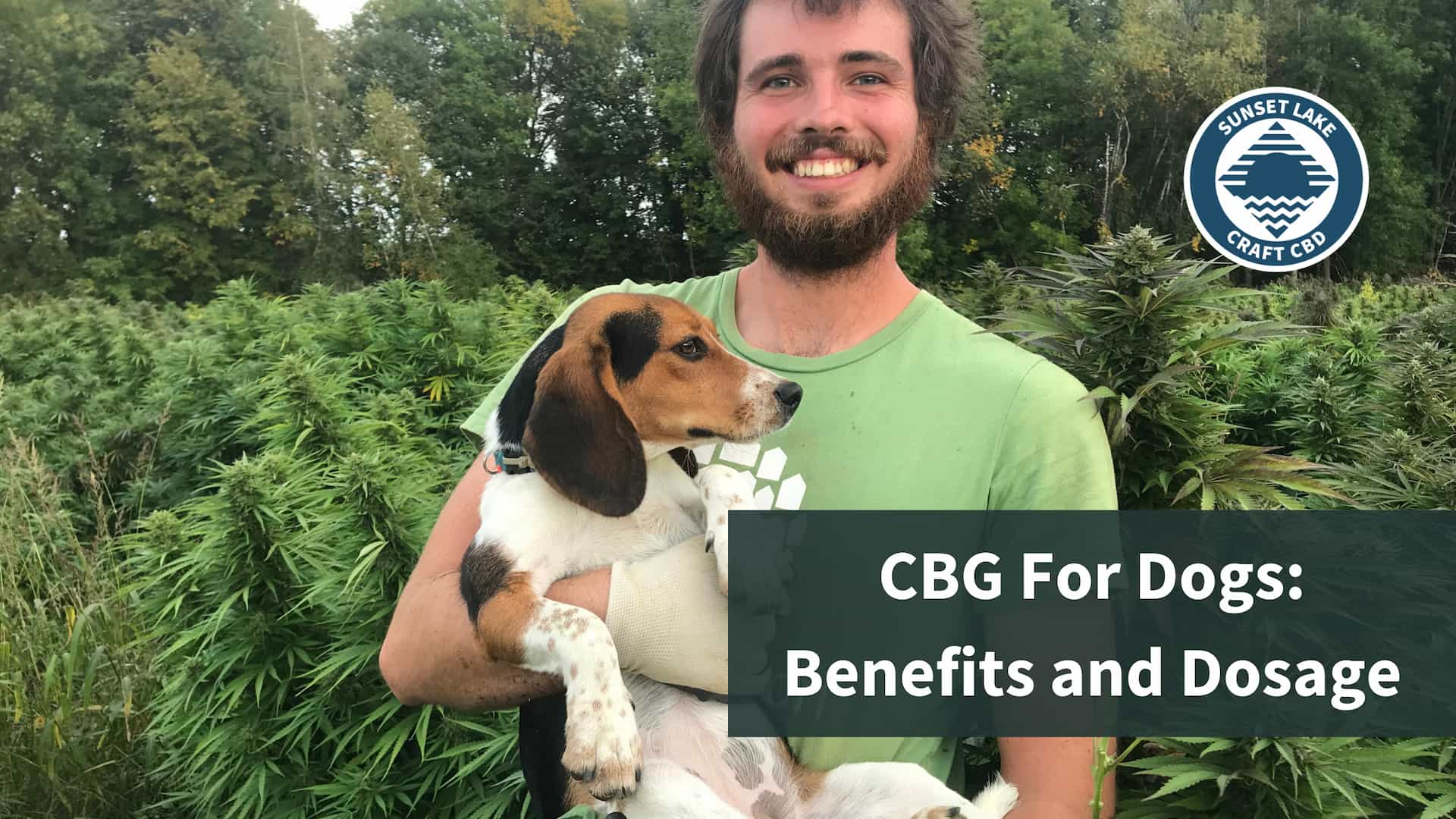 CBG for Dogs: Understanding Benefits and Proper Dosage