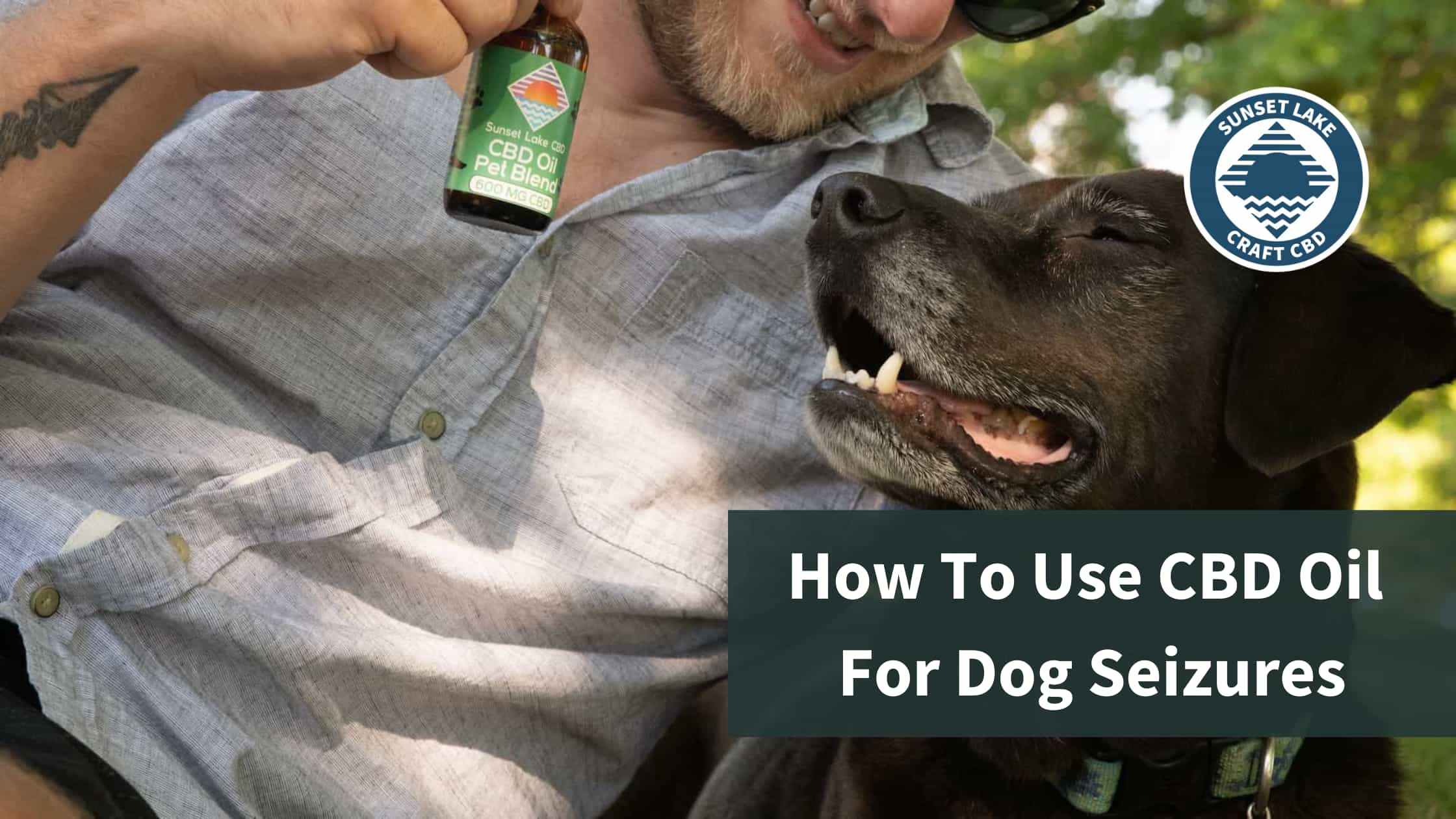 How To Use CBD Oil for Dog Seizures