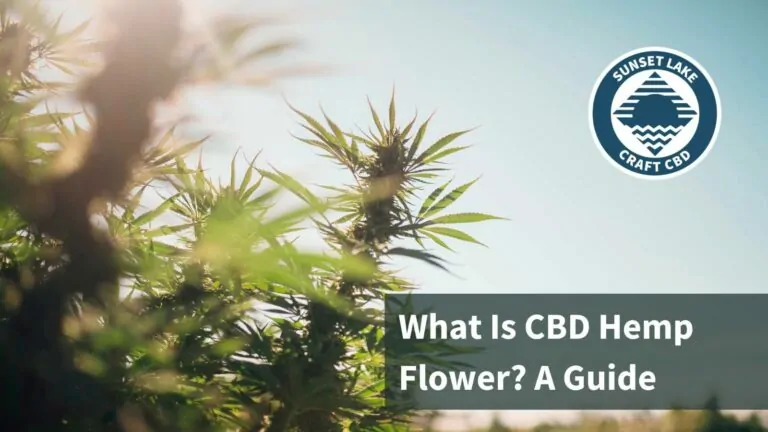A flowering hemp flower cola. Text reads "What is CBD hemp flower? A guide"
