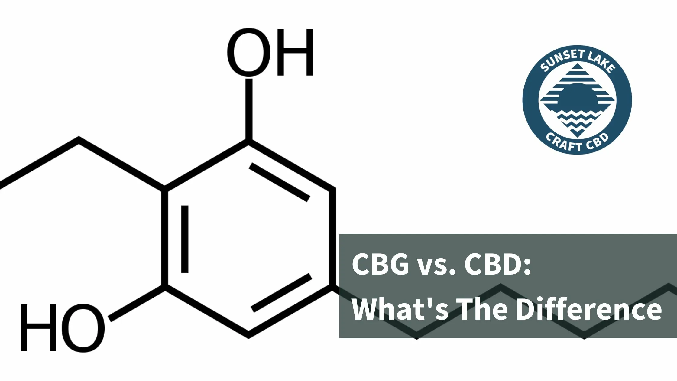 Model of CBG. Text reads "CBG vs CBD: What's the difference?"