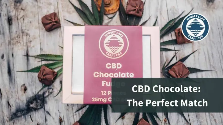 A box of CBD chocolate surrounded by chocolate squares and hemp leaves