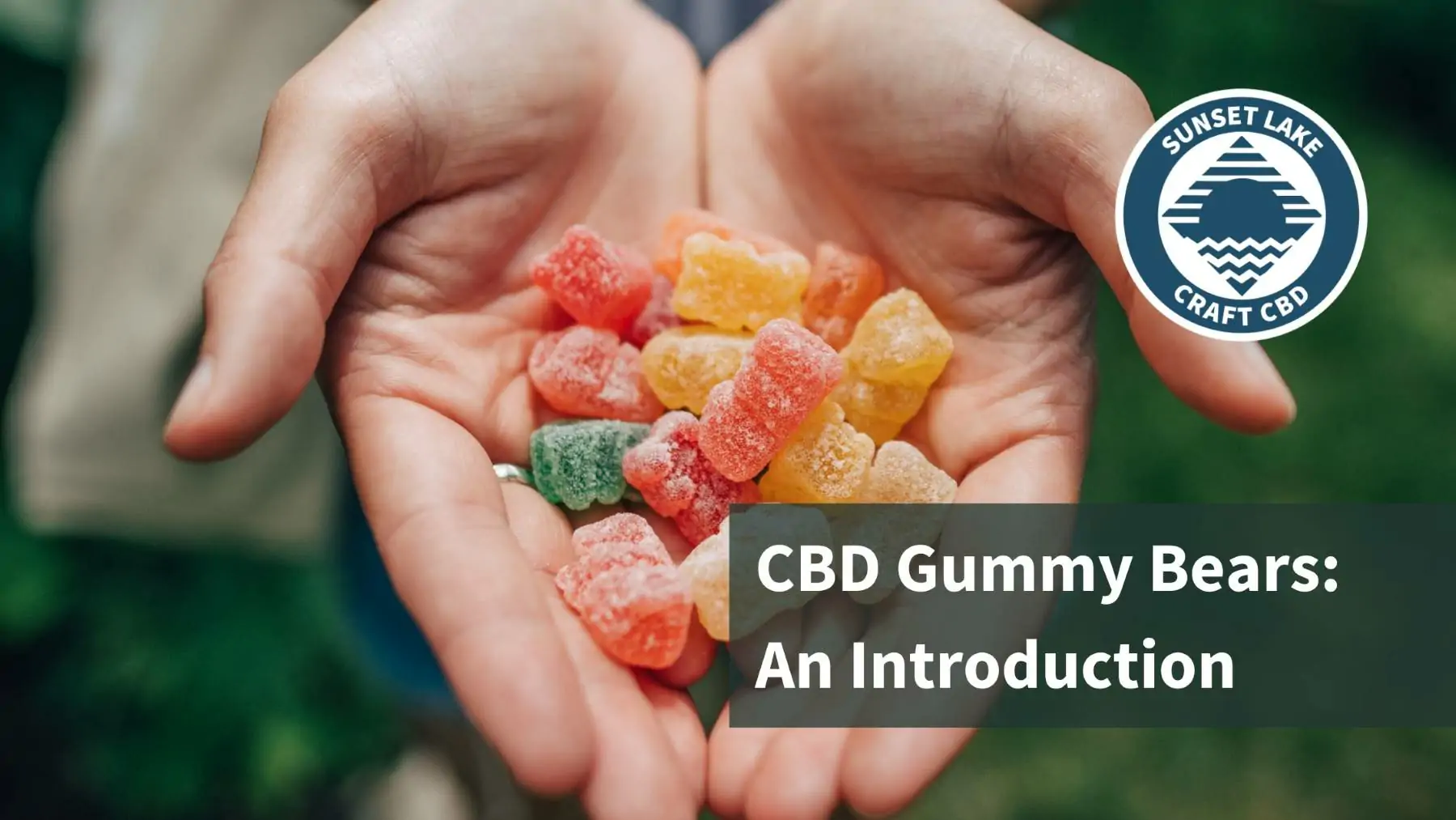 CBD Gummy Bears: A Quick Introduction