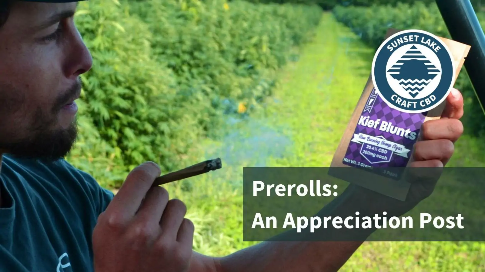 Prerolls | An Appreciation Post