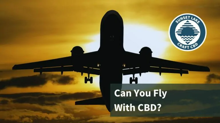 A plane silhouette with the text "Can you fly with CBD?"