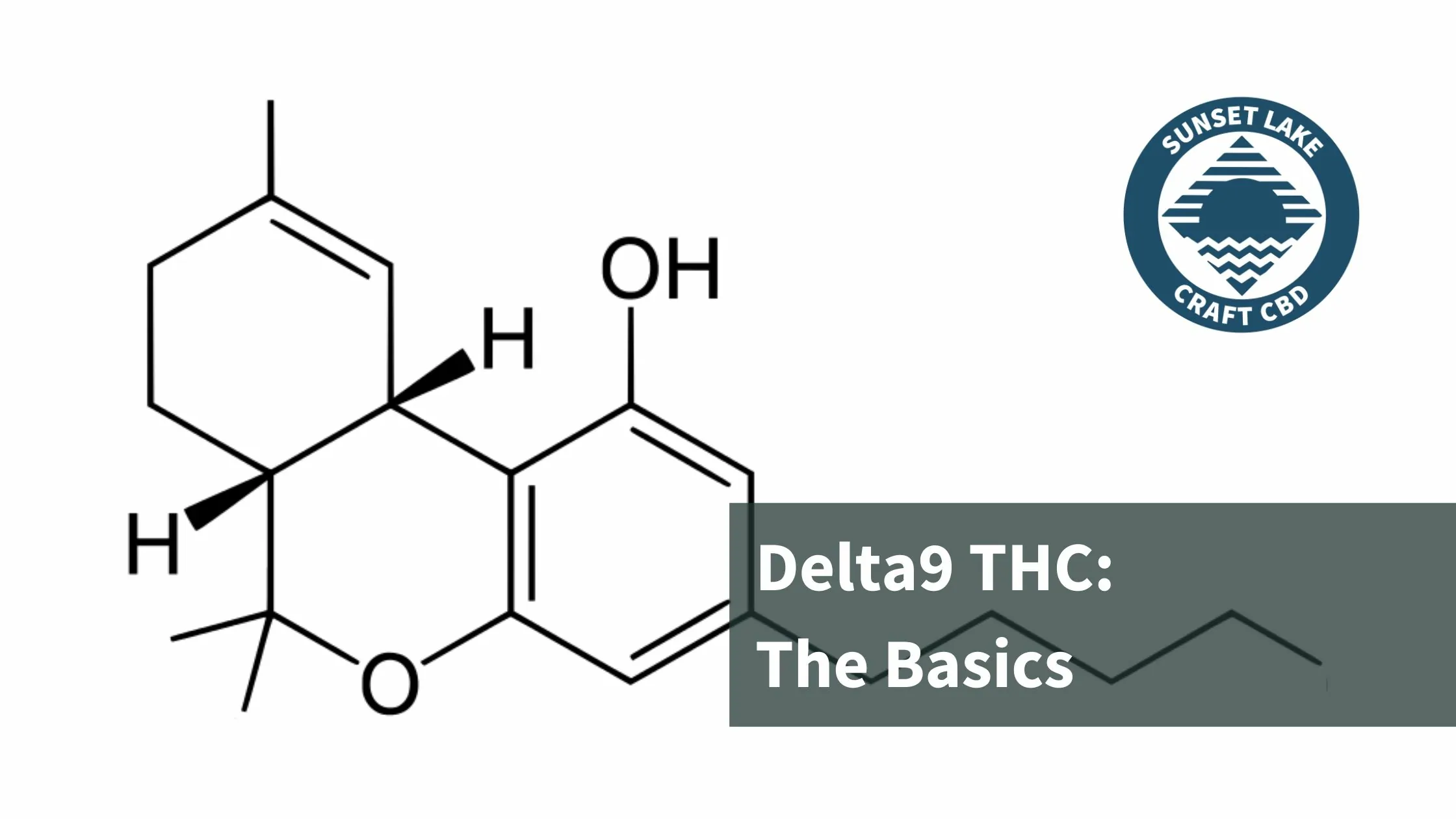 What Is Delta-9 THC? The Basics