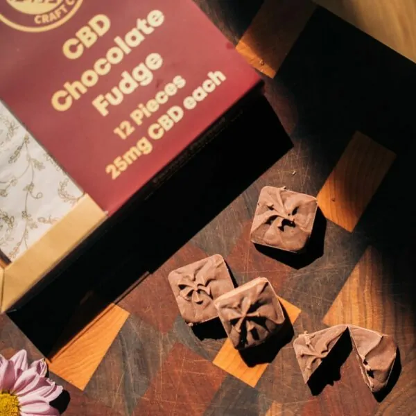 CBD Chocolate Fudge next to a flower and the packaging