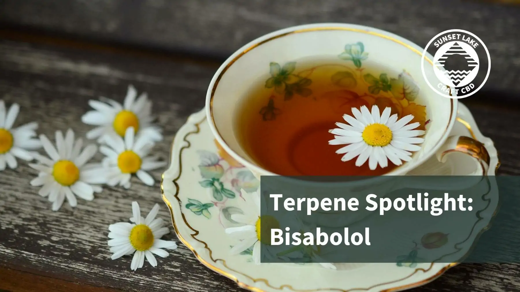 Terpene Spotlight: Bisabolol