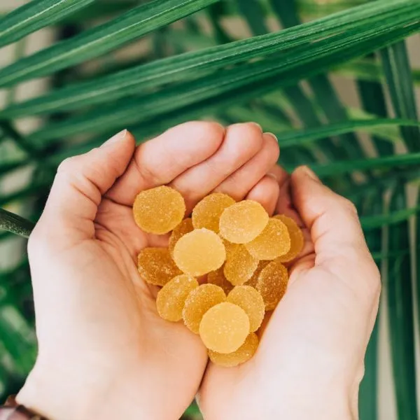 Two hands full of Sunset Lake's Full Spectrum CBD Vibe Gummies