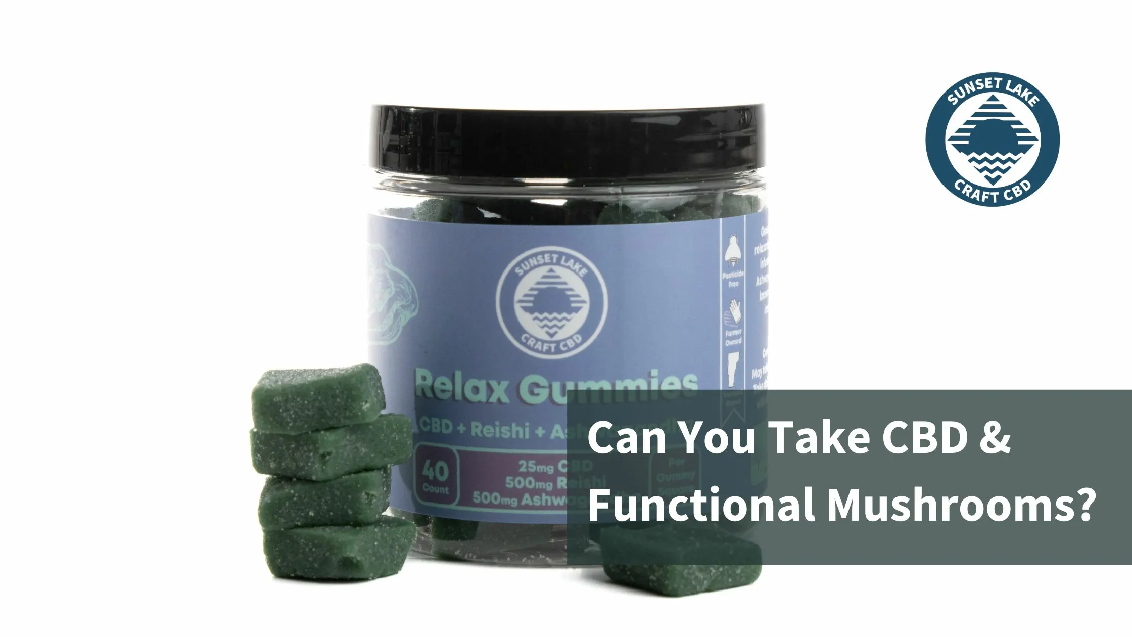 A jar of Relax Functional Mushroom gummies with CBD. Text reads: Can you take CBD and functional mushrooms