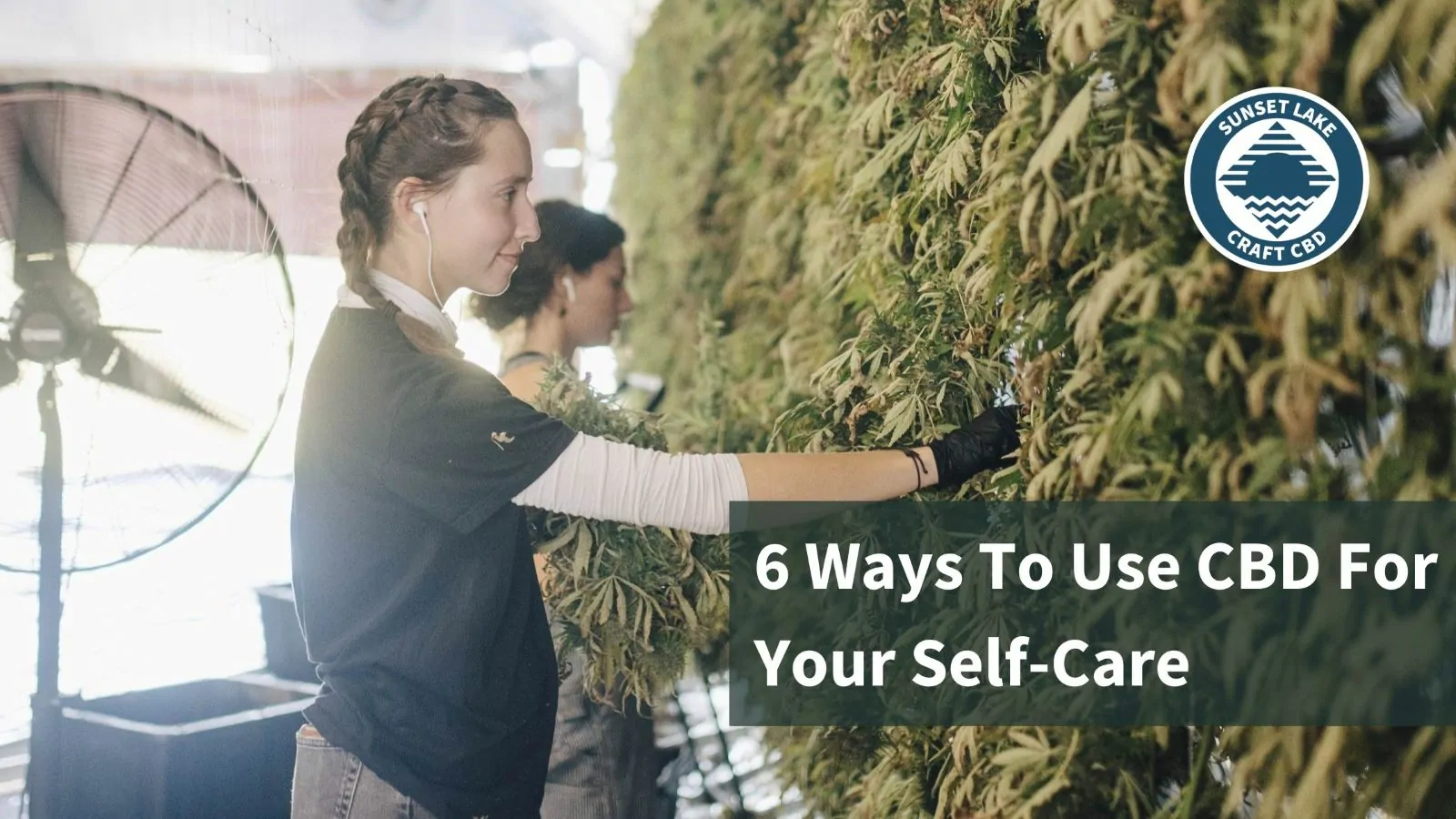 A woman hanging hemp flowers to dry. Text overlaid reads "6 ways to use CBD for your self-care"