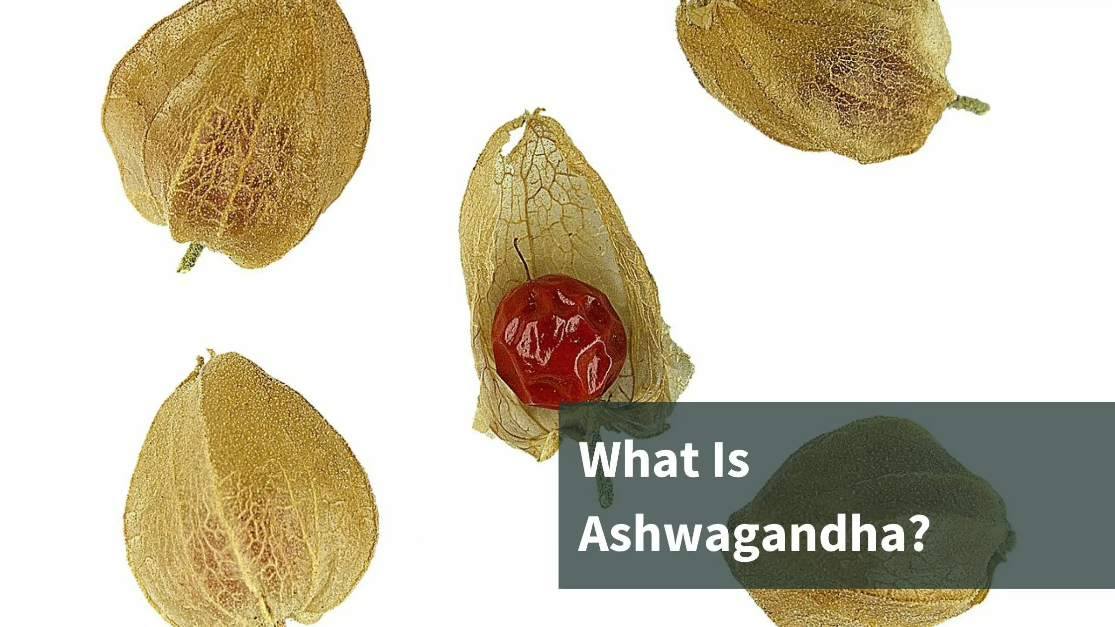 What Is Ashwagandha?