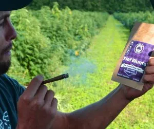 A man smoking a full-spectrum CBD blunt 