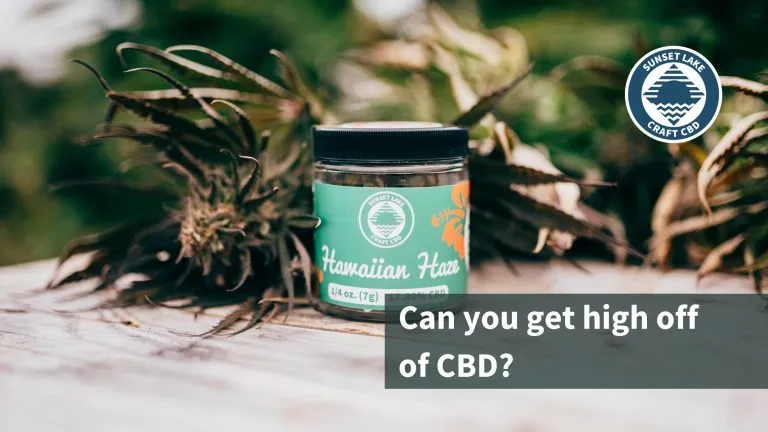 Thumbnail image for the blog "Can you get high off CBD?"