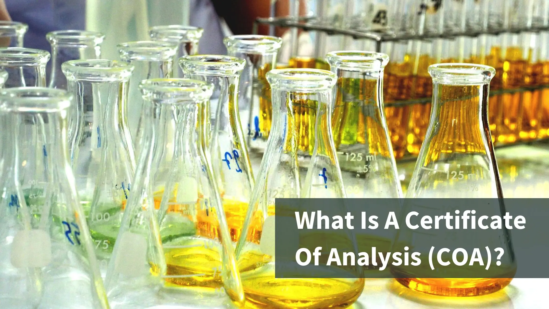 What Is A Certificate Of Analysis?