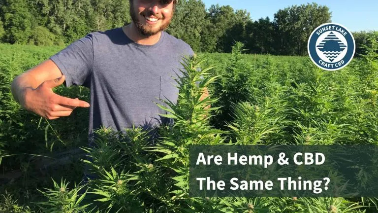 A man in a hemp field. "Are hemp and CBD the same thing?"